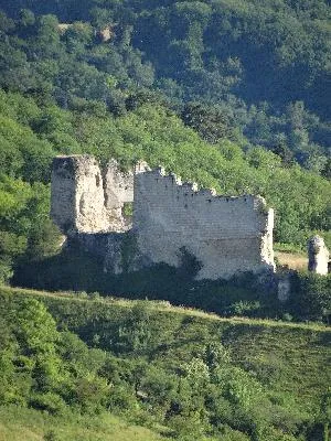Château-Gaillard aux Andelys