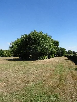 Arboretum de Jonquerets-de-Livet