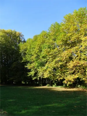 Parc du Château de Pinterville