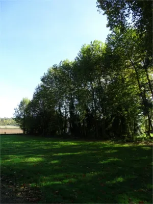 Parc du Château de Pinterville