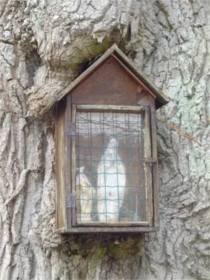 Chêne à la Vierge de Bosguérard-de-Marcouville