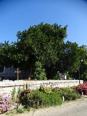 If du cimetière d'Épreville-en-Roumois