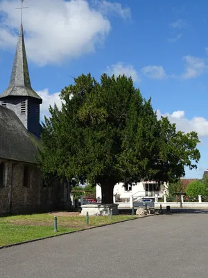 If funéraire de Saint-Ouen-de-Thouberville