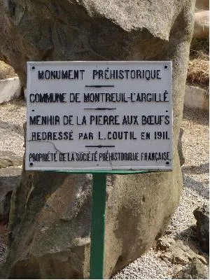 Menhir dit la Pierre-à-Boeufs à Montreuil-l'Argillé