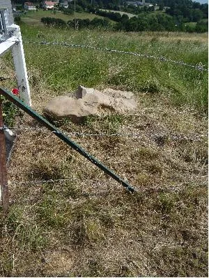 Menhir dit la Pierre-à-Boeufs à Montreuil-l'Argillé