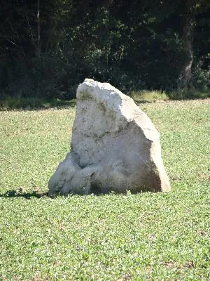 Menhir du Croc à Serquigny