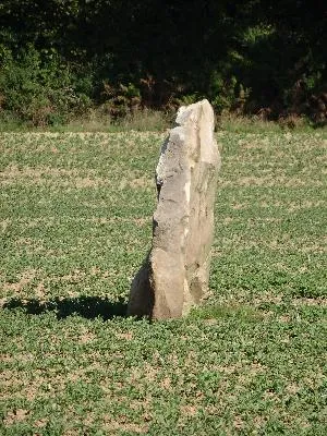 Menhir du Croc à Serquigny