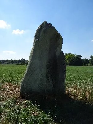 Menhir dit La Pierre de Gargantua à Neaufles-Auvergny