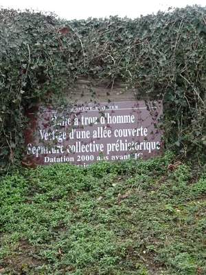 Allée couverte La pierre percée à Aizier