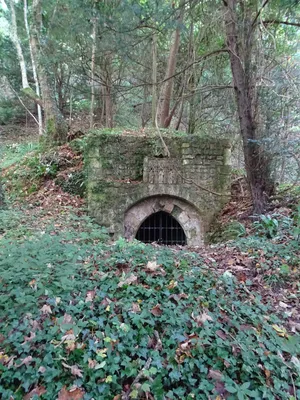 Cave médiévale à Amfreville-sur-Iton
