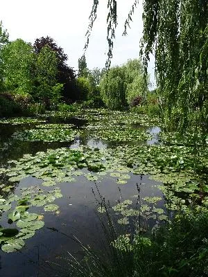 Jardin de Claude Monet à Giverny