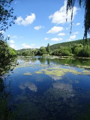Lac de l'Onglais à Acquigny