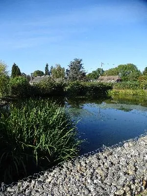 Mare de Saint-Nicolas-du-Bosc