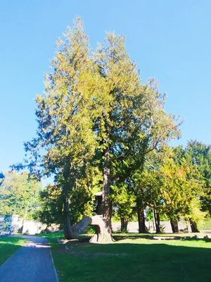 Parc du Château Gasse Keller à Bourgtheroulde-Infreville