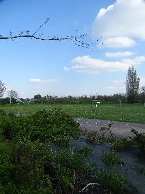 Terrains de football d'Aubevoye