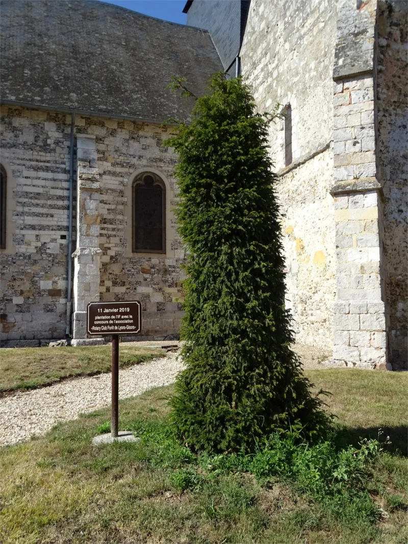 If de l'Église Saint-Denis à Lyons-la-Forêt