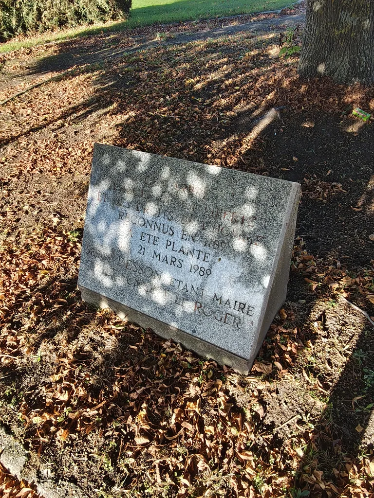 Arbre de la Liberté à Beaumont-le-Roger