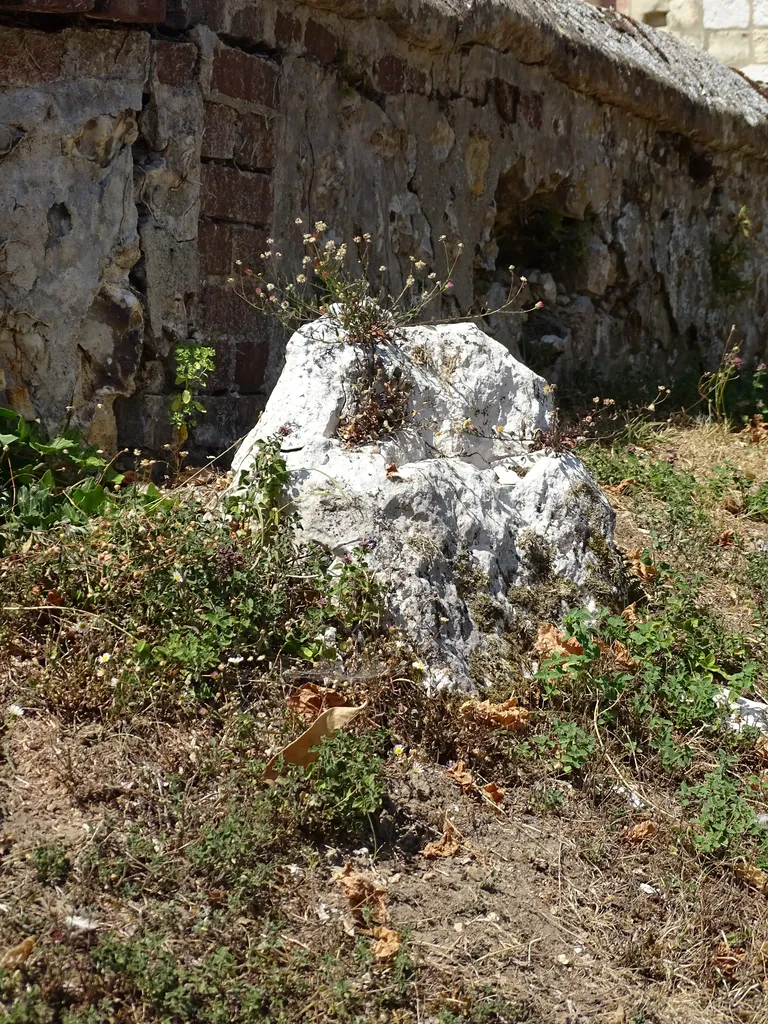 Allée couverte La pierre percée à Aizier
