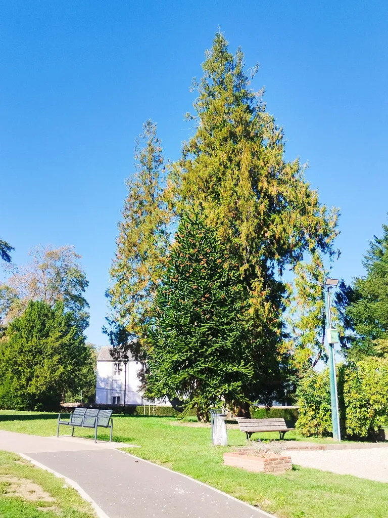 Parc du Château Gasse Keller à Bourgtheroulde-Infreville